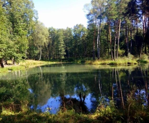 Apartament Pod Lasem Tenczynek Luaran gambar