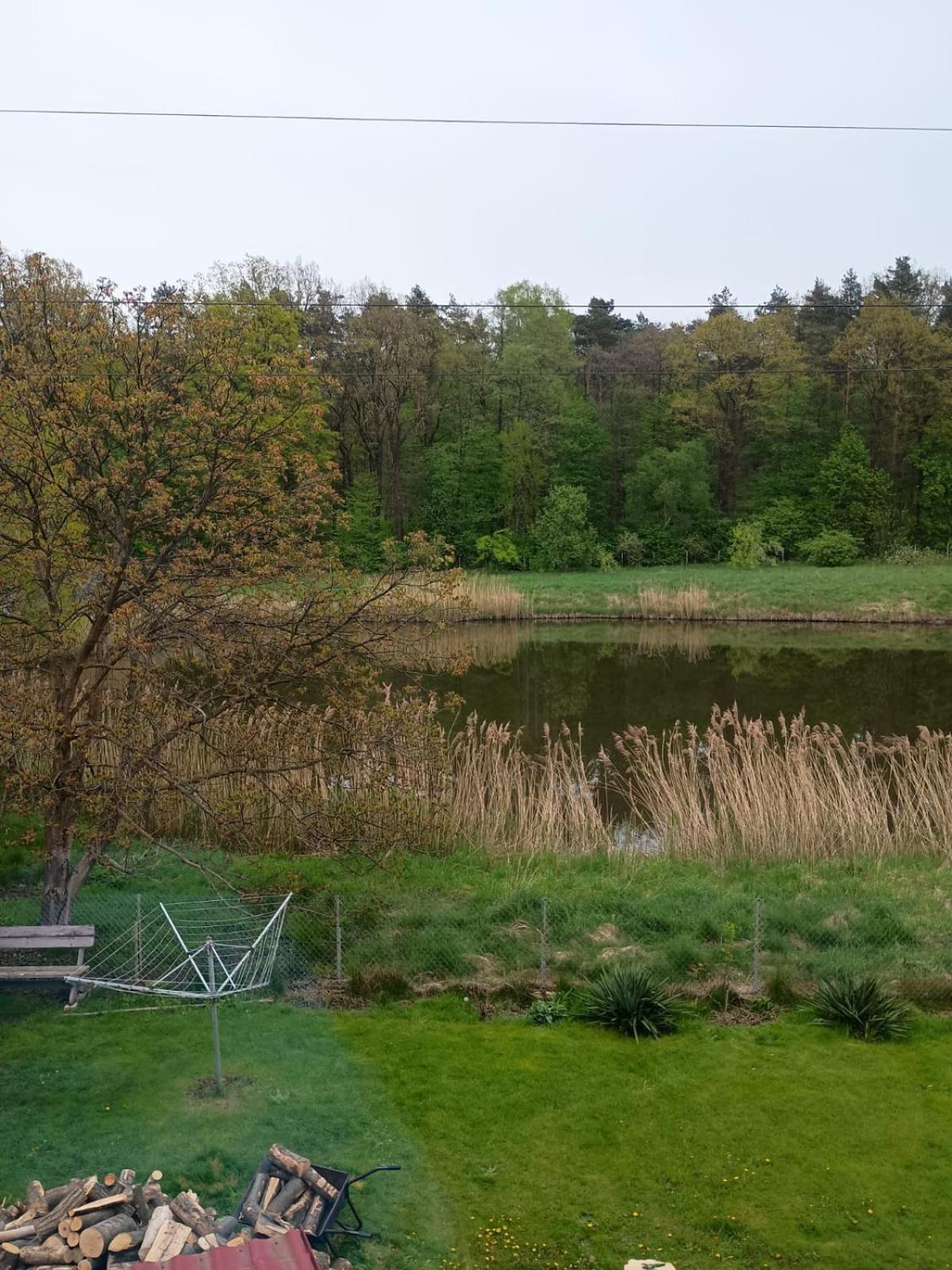 Apartament Pod Lasem Tenczynek Luaran gambar